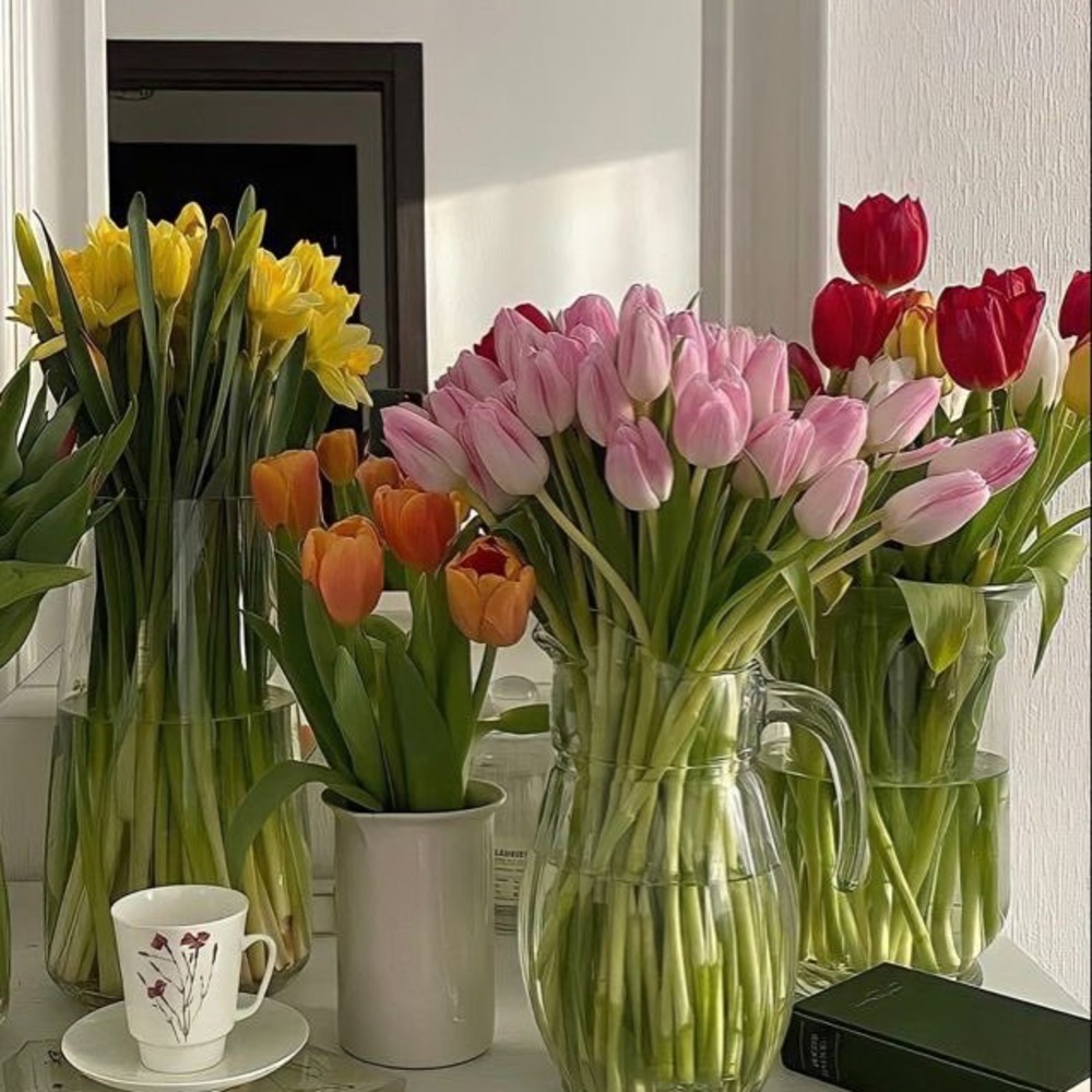 Meet your Posher, Sydney